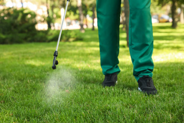 Best Exterminator Services  in La Cresta, CA