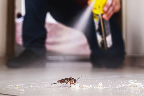 Best Emergency Pest Control  in La Cresta, CA