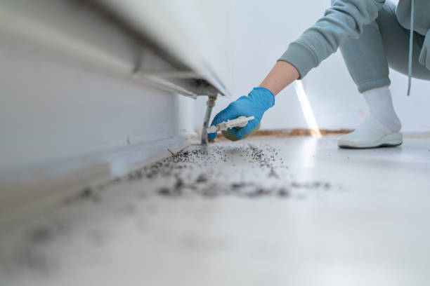 Best Best Pest Control Companies  in La Cresta, CA